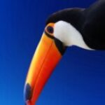 Profile picture of Andy Westwell